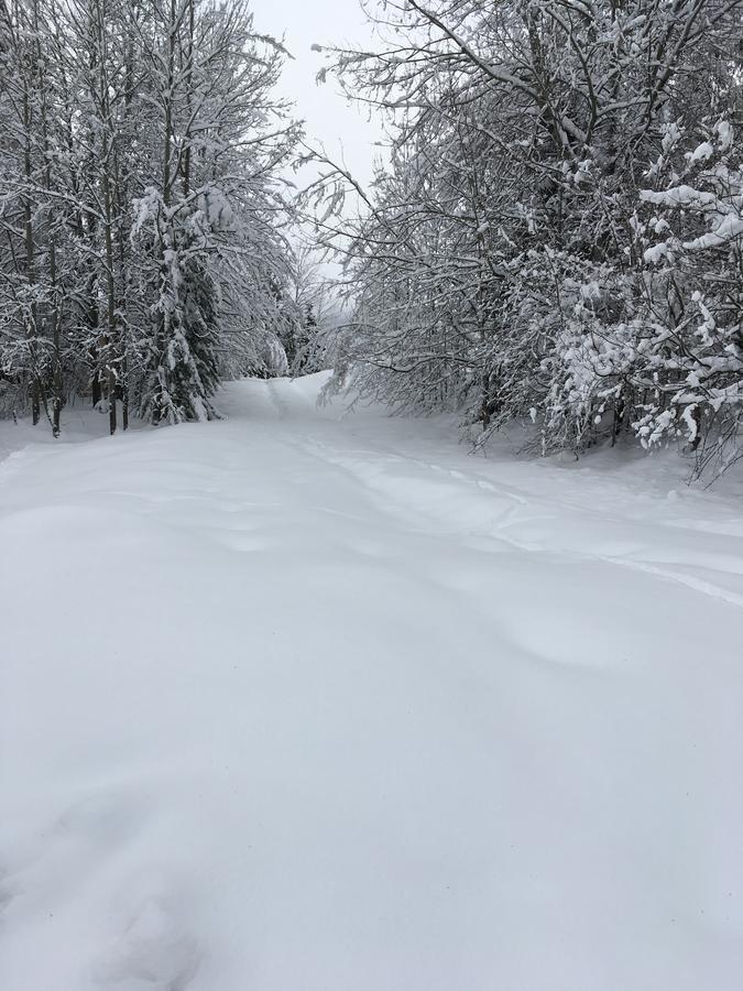 Auberge De Violaine Le Monetier-les-Bains Bagian luar foto