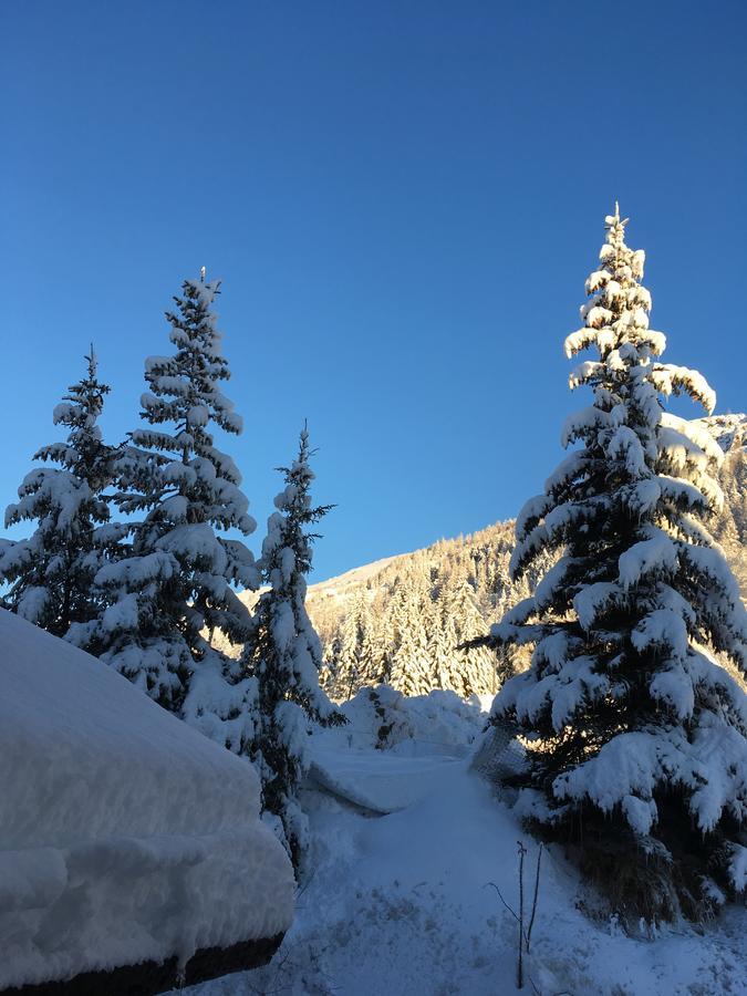 Auberge De Violaine Le Monetier-les-Bains Bagian luar foto